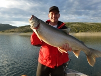 Lake Trout